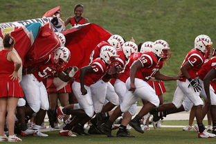 开云体育网址-国家队技战术水平提升瓶颈，国家技巧队