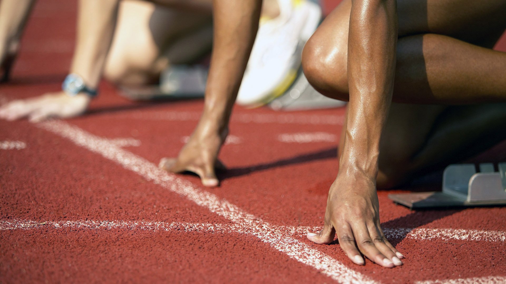 观众调查平台启用提升赛事服务体验,观众行为及兴趣调研分析